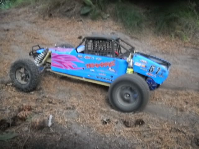 gp stadium buggy cougar 4.1 rtr